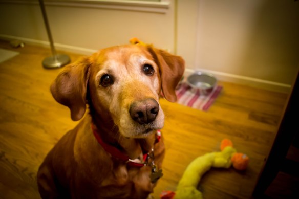 Food Blog 2011-2013-0356