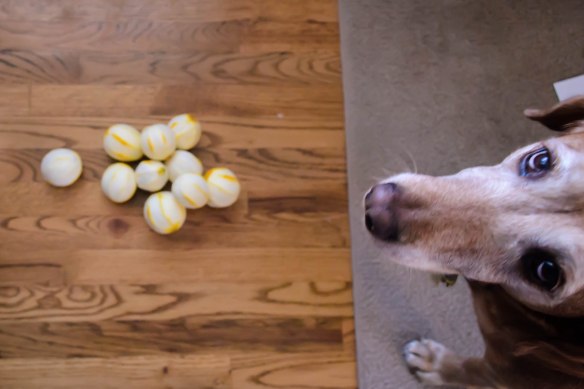 Food Blog February 2013-0484