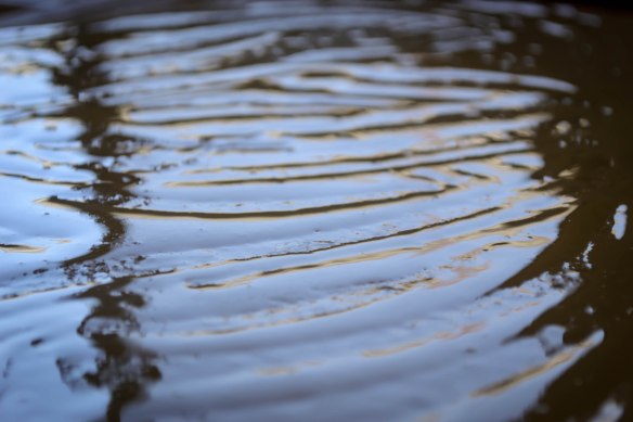 Food Blog February 2013-0666