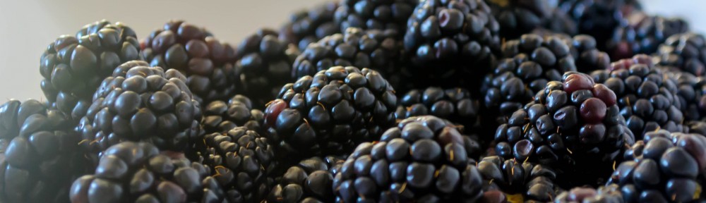 "blackberry-eating in late September"