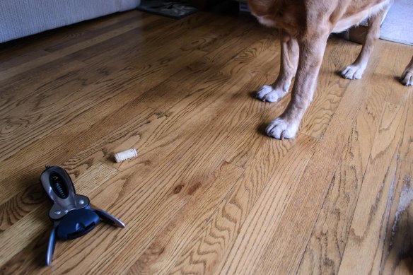 Sometimes feet get in the way of your photoshoots... 