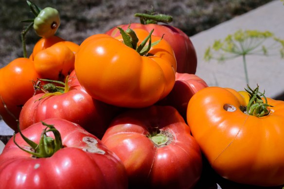 Food Blog Photo Fridays 2013-2412