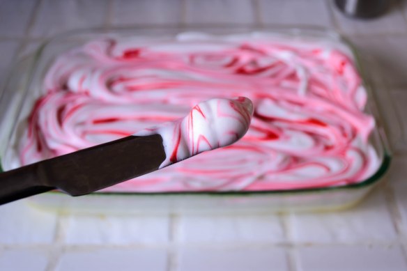 Food Blog December 2013-2935