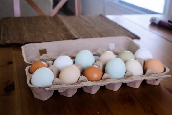 Food Blog Photo Fridays 2014-3158