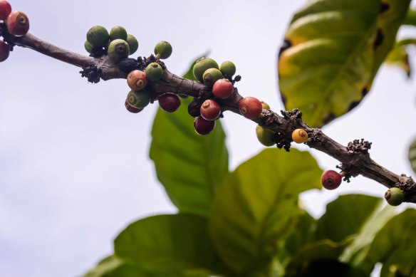 Kauai July 2014-0241