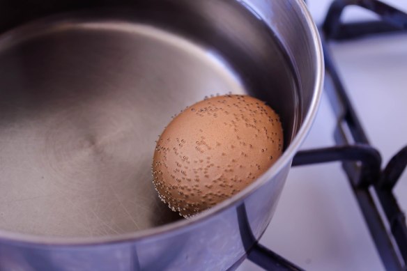 Food Blog Photo Friday 2014-0422