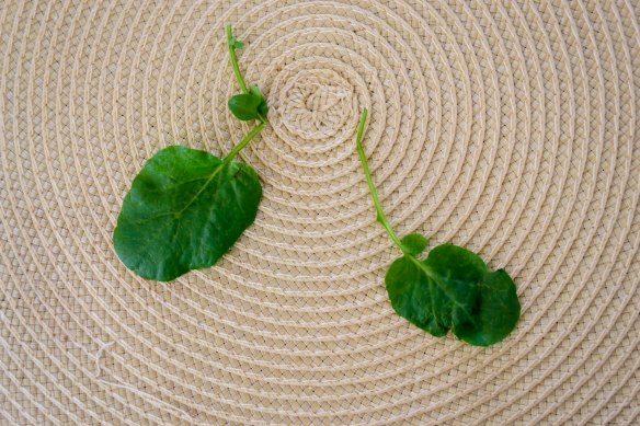 Food Blog September 2014-0560