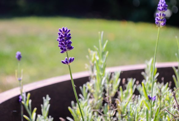 Food Blog Photo Fridays 2014-0493