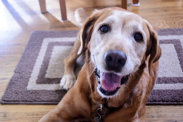 Food Blog September 2014-0588