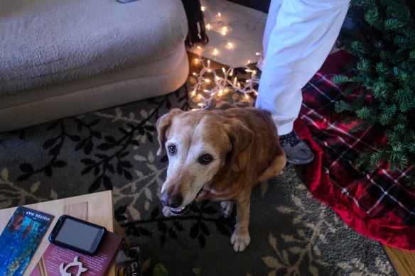 Fall and Winter 2014-0915