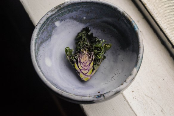 Food blog Photo Friday 2015-0759