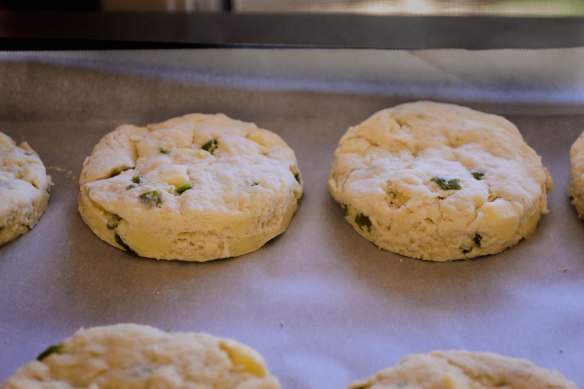 Food blog July 2015-1107