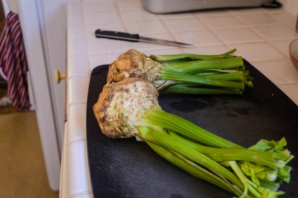 2015 Blog August-0286