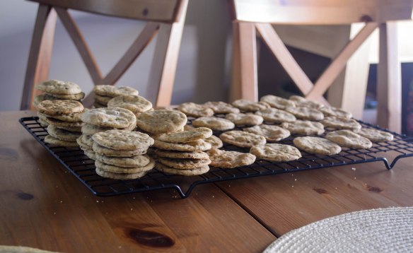 2015 Blog September-0488