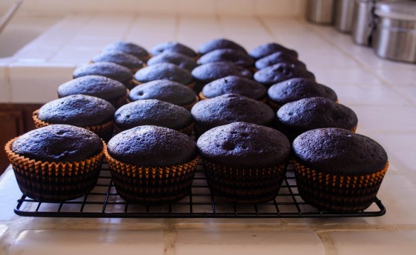 2015 Blog November-0569