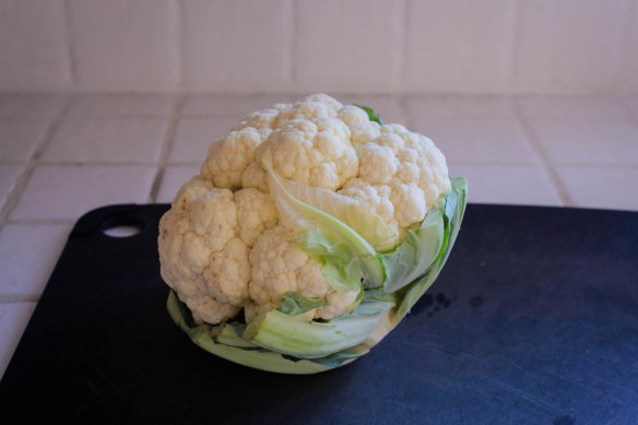 2015 Blog September-0501