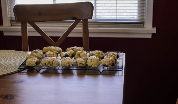 2016 Food Blog March-0647