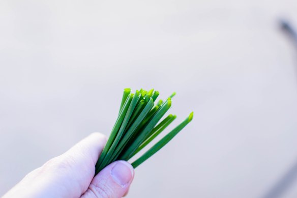 2016-food-blog-september-0818