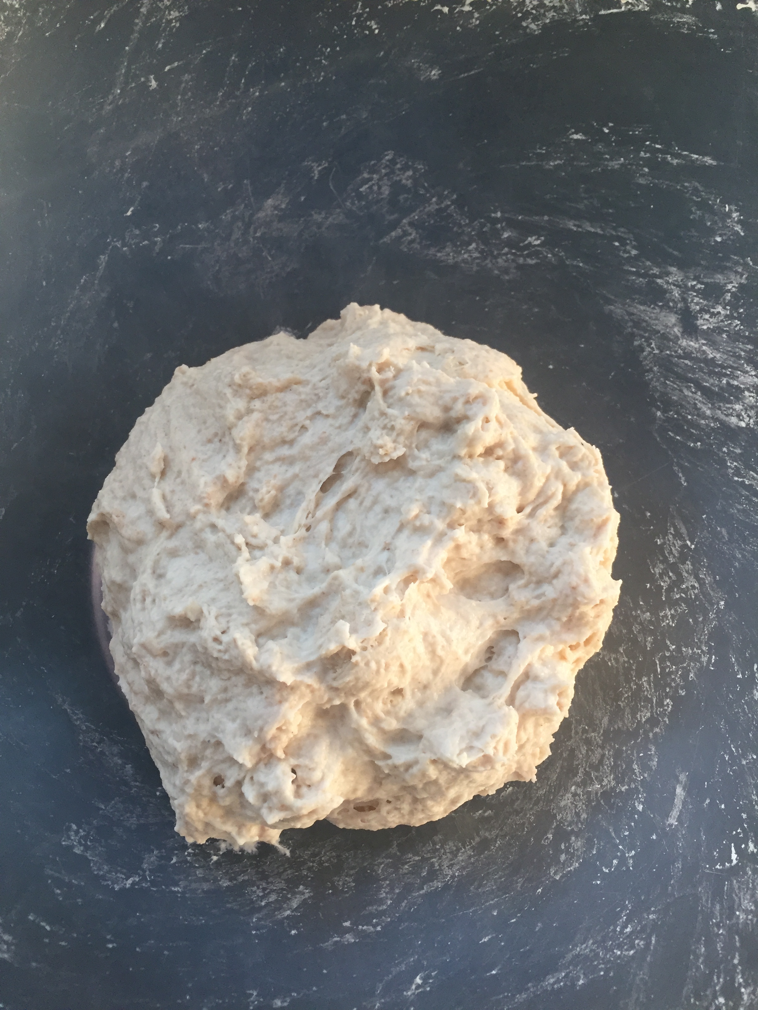 image-6shaggy-dough_