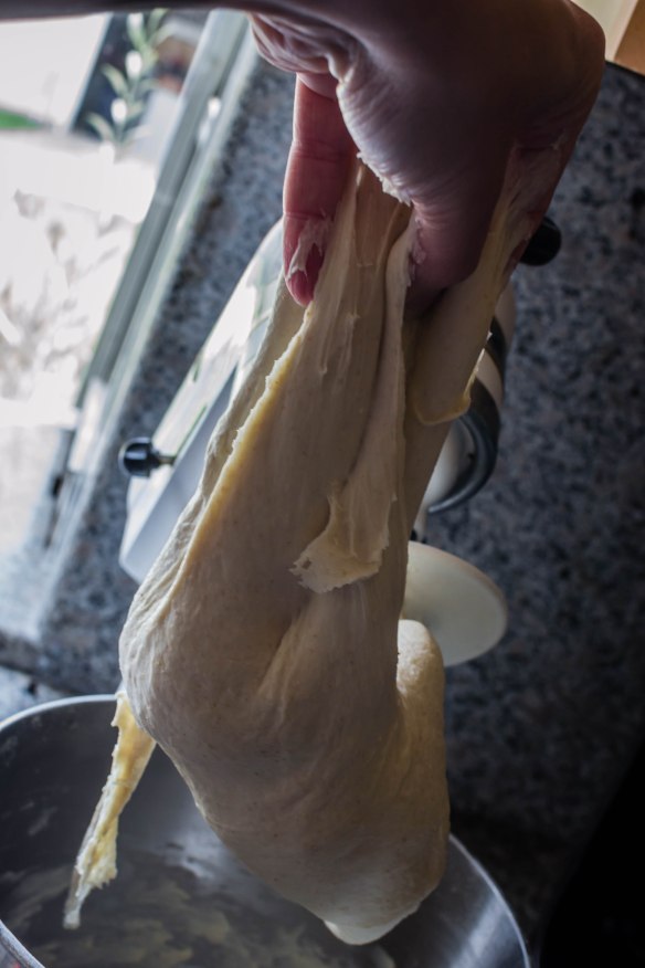 Blog 2021 June July August-0597