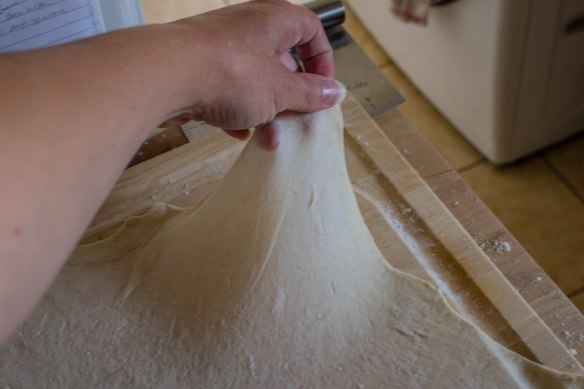 Blog 2021 June July August-0624