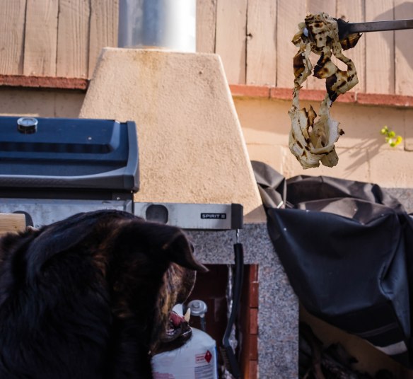 Blog 2021 June July August-0634